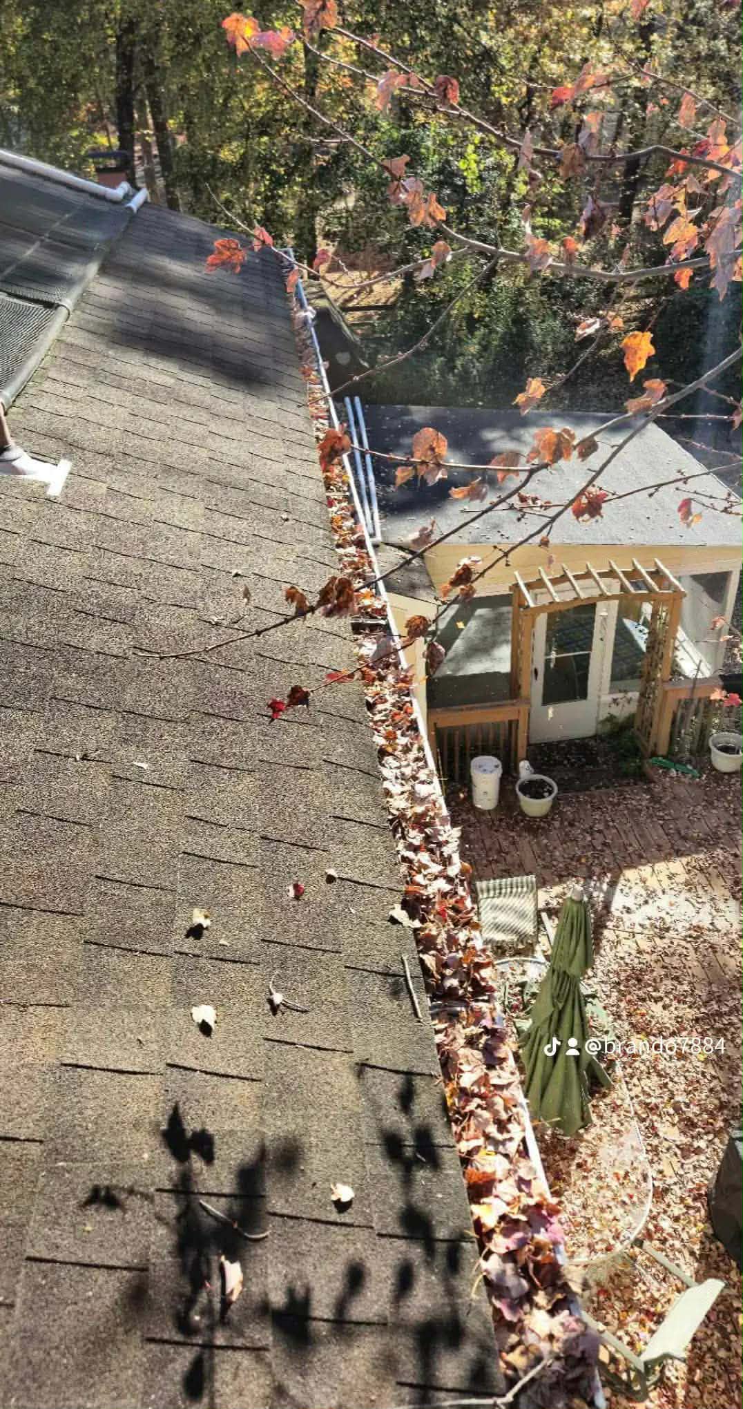 Before - gutters clogged with leaves