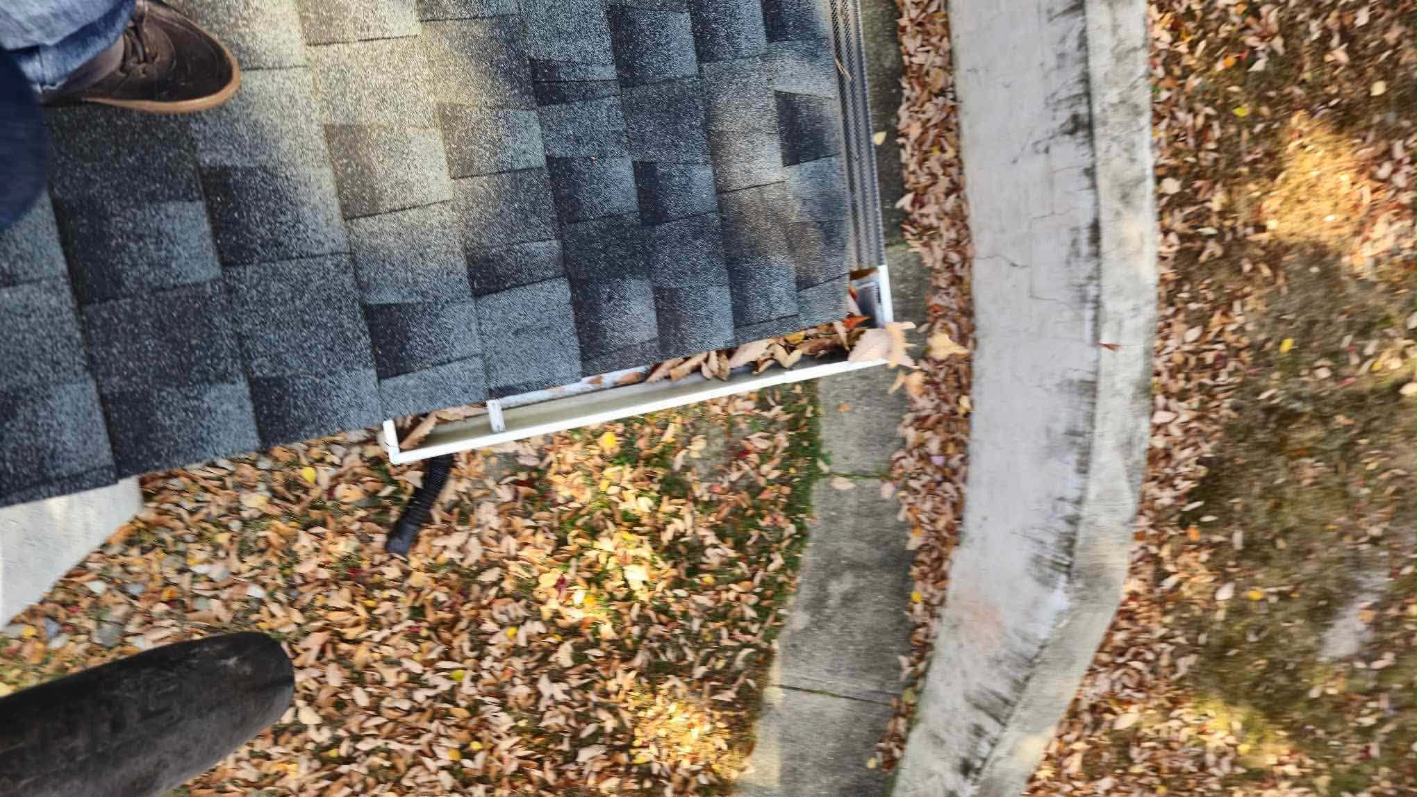 Before - gutters clogged